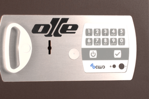 Serie 1000 - Empotrar - Electrónica y cerradura de gorjas