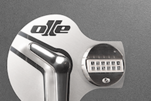 Serie II - Caja fuerte - Electrónica y retardo