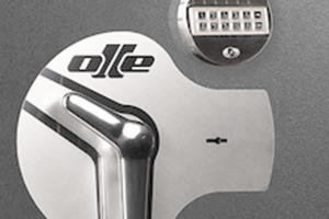 Serie II - Caja fuerte - Electrónica, retardo y cerradura de gorjas